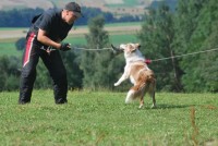 /album/mona/album-pic-php-3-jpg/